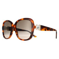Jimmy Choo Sunglasses SADIE/S 086 HA Havana Brown Gradient
