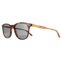 Lacoste Sunglasses L602SNDP 218 Havana Blonde Grey Polarized