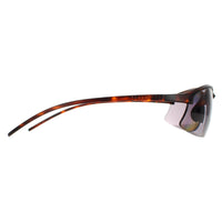Serengeti Sunglasses Winslow SS551003 Matte Classic Tortoise Saturn Smoke Polarized
