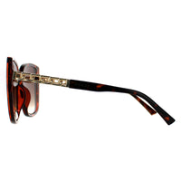 Guess Sunglasses GF0427 52F Dark Havana Brown Gradient