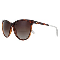 Polaroid Sunglasses PLD 4058/S 086 LA Havana Brown Brown Gradient Polarized