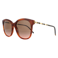 Gucci Sunglasses GG0654S 003 Havana Brown Gradient