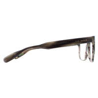 Ted Baker Glasses Frames TB8232 Efren 953 Grey Horn Men