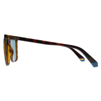 Polaroid Sunglasses PLD 6226/S 086 C3 Havana Blue Polarized