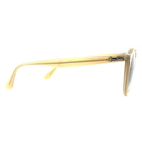 Ray-Ban Sunglasses 2180 616613 Turtledove Brown Brown Gradient