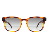 Ted Baker Sunglasses TB1635 Surf 122 Polished Dark Tortoise Grey Gradient