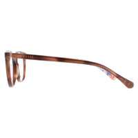 Ted Baker Glasses Frames TB9177 Pollina 126 Brown Women