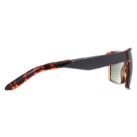 Dragon Sunglasses Space 41053-246 Shiny Dark Tortoise G15 Green