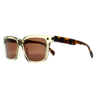 Ted Baker Sunglasses TB1696 George 139 Crystal Grey Brown