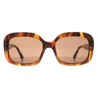 Barbour Sunglasses 3070 102 Havana Brown
