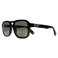 Police Sunglasses SPLN65 Forever 2 0722 Shiny Dark Havana Green