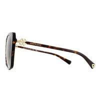 Bvlgari Sunglasses BV8225B 504/13 Dark Havana Brown Gradient