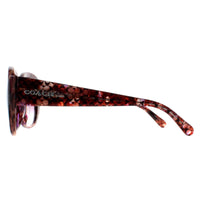 Coach Sunglasses HC8363U 57398H Petal Tortoise Pink Gradient