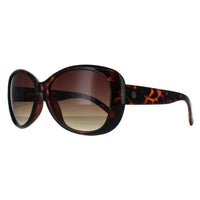Smarty Sunglasses X2808 J Chocolate Tortoise Brown Brown
