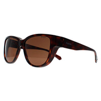 Polaroid Sunglasses PLD 9013/S Fitover 9N4 SP Havana Bronze Polarized