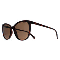 Polaroid Sunglasses PLD 4138/S 086 SP Havana Bronze Polarized