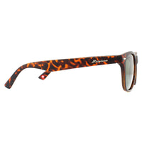 Montana Sunglasses MP10 A Matte Turtle Brown Rubbertouch G15 Green Polarized