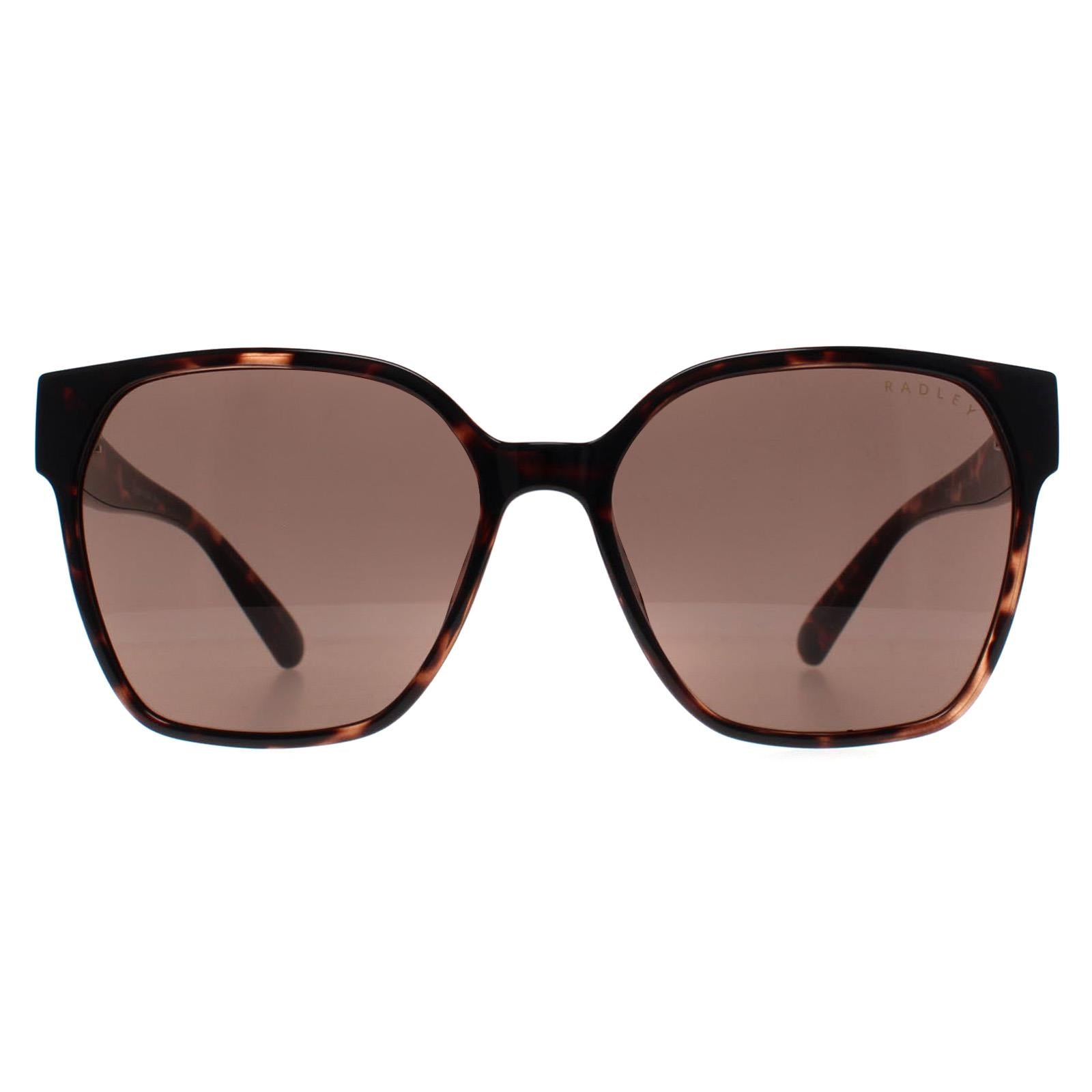 レイミア Radley Sunglasses RDS-6528-102 102 Havana Brown – Discounted
