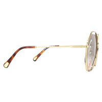 Chloe Sunglasses Poppy CE132SRI 258 Havana Gold Brown Gradient