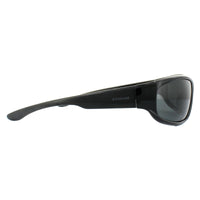 Polaroid Sunglasses PLD 3017/S D28 Y2 Shiny Black Grey Polarized