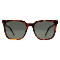 Saint Laurent Sunglasses SL M146 003 Havana Grey