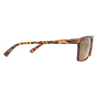 Montana Sunglasses MP51 D Brown Turtle Rubbertouch Brown Polarized