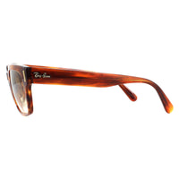Ray-Ban Sunglasses Jeffrey RB2190 954/51 Tortoise Light Brown Gradient