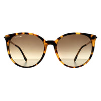 Lacoste Sunglasses L928S 214 Havana Grey Gradient