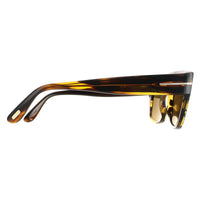 Tom Ford Sunglasses Dunning FT0907 48J Tortoise Brown