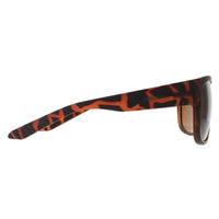 Dragon Sunglasses Rune XL 40731-246 Matte Tortoise Bronze