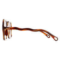 Chloe Sunglasses CH0086S Zelie 005 Havana Brown