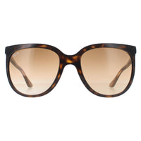 Rayban Sunglasses Cats 1000 4126 Havana Brown Gradient