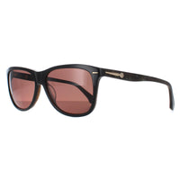 Calvin Klein Sunglasses 4194 379 Black Marble Brown