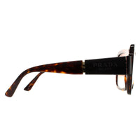 Prada Sunglasses PR21XS 2AU6S1 Havana Brown Gradient