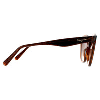 Salvatore Ferragamo Sunglasses SF977S 210 Crystal Brown Brown Gradient