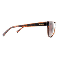 Polaroid Sunglasses PLD 4030/S Q3V LA Dark Havana Glitter Brown Gradient Polarized