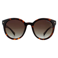 Polaroid Sunglasses PLD 6043/S 086 LA Dark Havana Brown Gradient Polarized