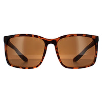 Dragon Sunglasses Montage 40734-246 Matte Tortoise Bronze