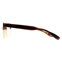 Ted Baker Glasses Frames TB8197 Cade 162 Brown Horn and Honey Men Women