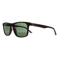 Skechers Sunglasses SE6268 53R Dark Havana Green Polarized