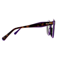 Salvatore Ferragamo Sunglasses SF941S 227 Havana Vintage Violet Green
