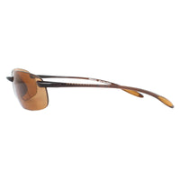 Serengeti Sunglasses Nuvola 7360 Shiny Brown PhD 2.0 Polarized Drivers Brown