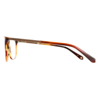 Ted Baker Glasses Frames TB8219 Archer 351 Cognac Horn Men