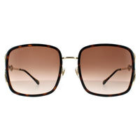 Gucci Sunglasses GG1016SK 003 Havana Brown