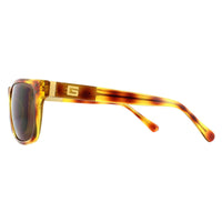 Guess Sunglasses GU6795 K08 Havana Brown Gradient