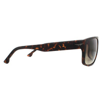 Police Sunglasses SPLB39 Tailwind 4 0738 Matte Dark Havana Smoke Brown Gradient