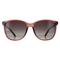 Smarty Sunglasses X2023 G Rose Crystal Grey
