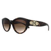 Bvlgari Sunglasses BV8221B 504/13 Dark Havana Brown Gradient