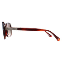 Kate Spade Sunglasses Yvette/S 086 LA Havana Brown Gradient Polarized