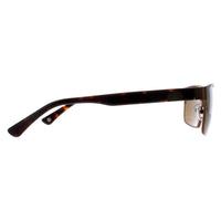 Duck and Cover Sunglasses DCS030 C2 Brown Black Brown